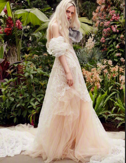 Vera Wang2020轻盈冬季婚纱图片 12