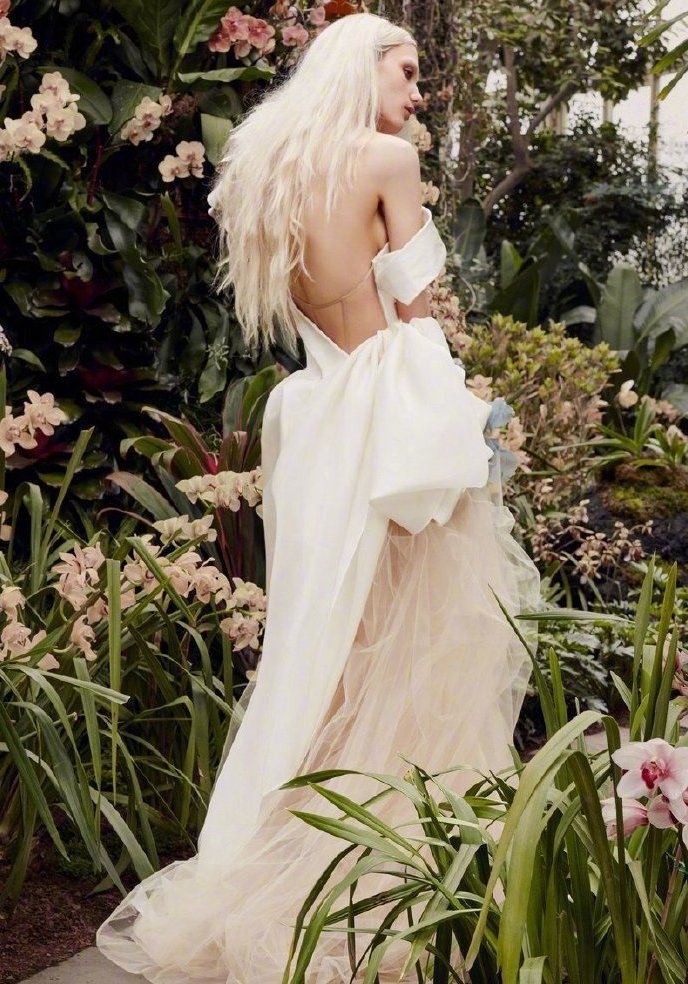 Vera Wang2020轻盈冬季婚纱图片 13