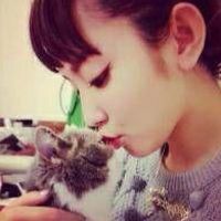 女生猫咪头像 5