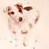 qq头像卡通动物 5