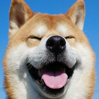 柴犬可爱头像