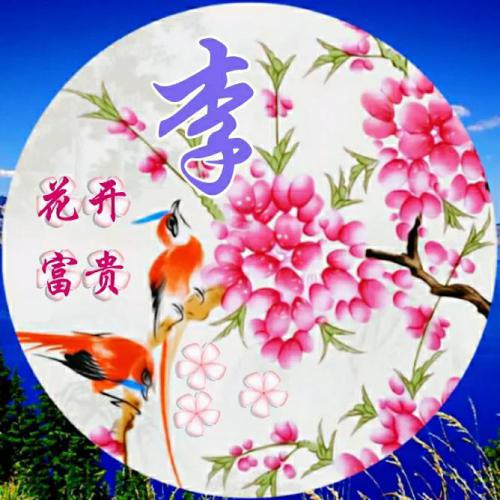 2023姓氏头像申字 4