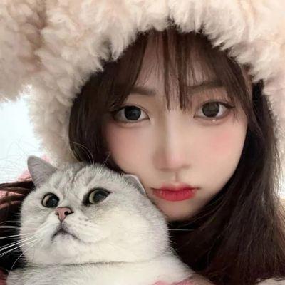 小狗头像ins高级质感 4