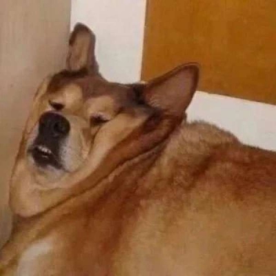 鬼畜头像图片沙雕 1