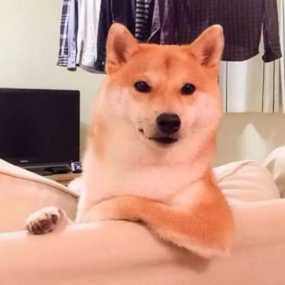 按生辰八字选微信头像 3