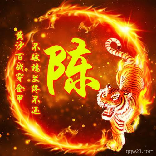 冰墩墩微信头像姓氏 3