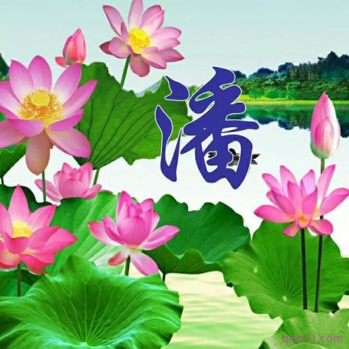 2023虎年祝姓氏头像 4