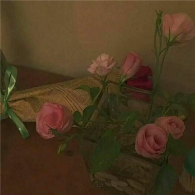 玫瑰花头像图片 5