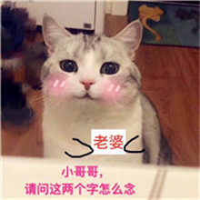微信头像搞笑 1