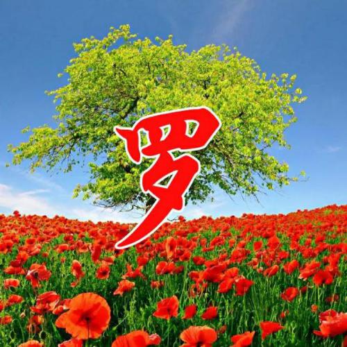 微信朋友圈头像下文字怎么写 4