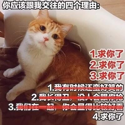 汤姆猫头像带文字 2