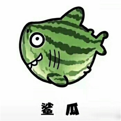 表情包头像可爱