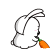 炫舞闪动头像 8