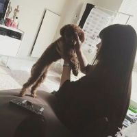 头像女带宠物 3