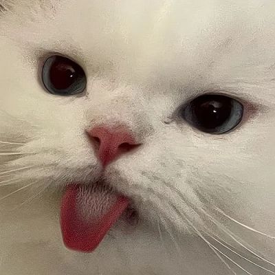 蜡笔笔小新的可爱头像 5