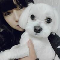 狗头像吧百度贴吧 6