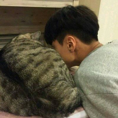 头像男可爱动物 2