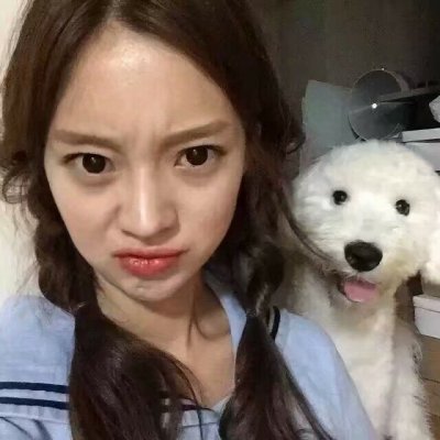 2023年最新头像女生宠物 6