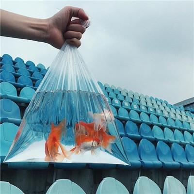 招财头像转运财运 5