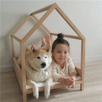 柴犬可爱头像 2