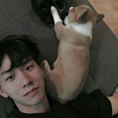 头像男可爱动物 3