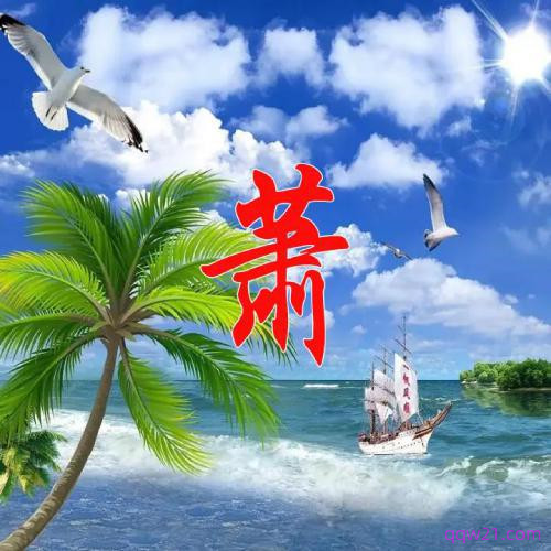 2023最美的姓氏头像图片 1