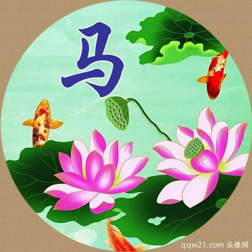 属兔的微信头像转运 5