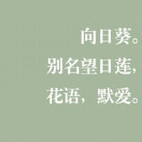 文字头像图片大全风景 7