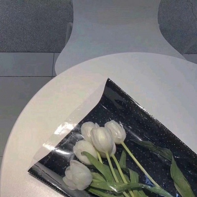 名人雕塑做微信头像好吗 1