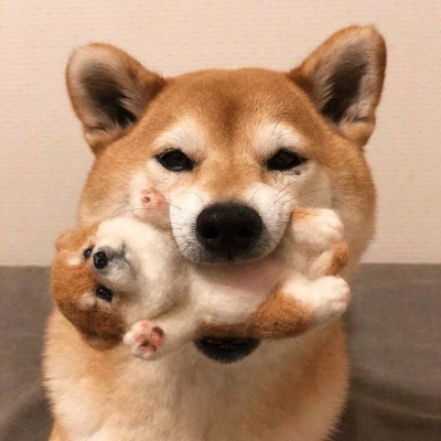 小猫可爱头像 1