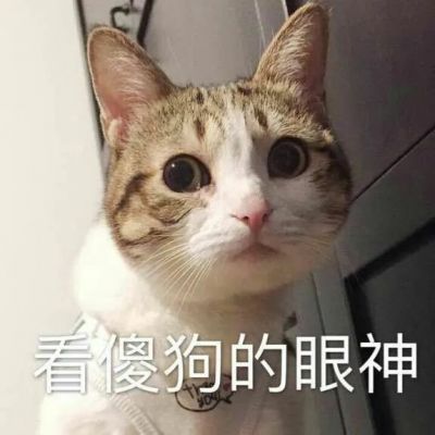 沙雕头像女生搞笑 1