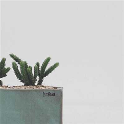 微信头像植物大战僵尸 9