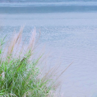夏日头像风景唯美