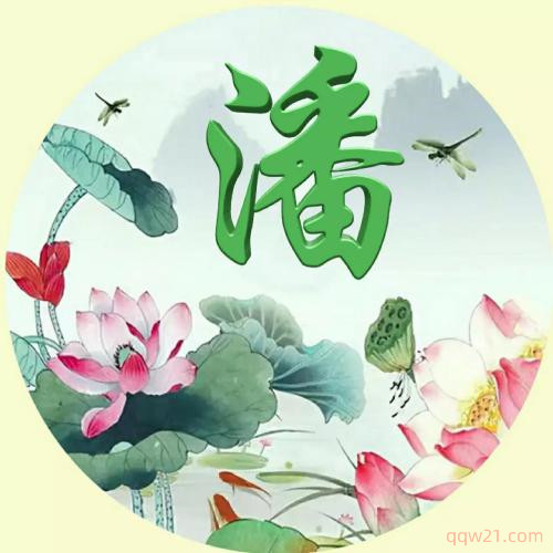 2023年虎年大吉姓氏头像喜庆 9