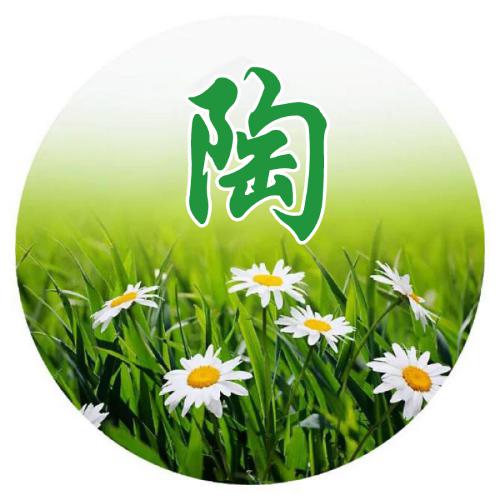 姓氏张女生头像图片大全 3