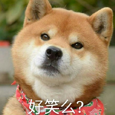 狗狗头像逗比