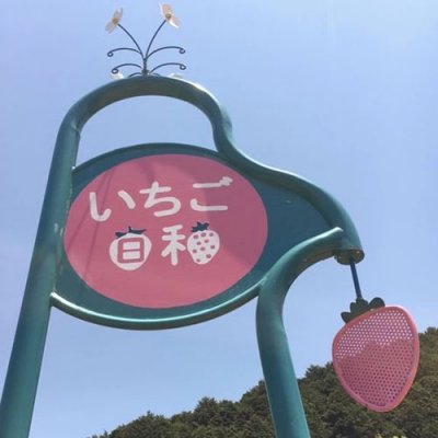 2023孙字微信头像 8