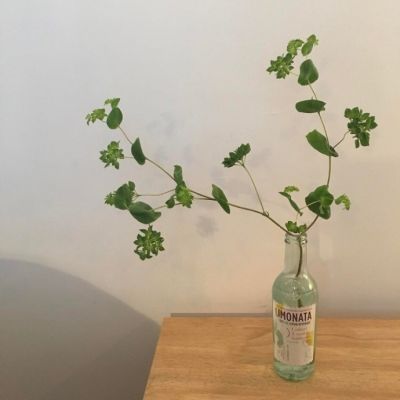 白底简约小清新头像
