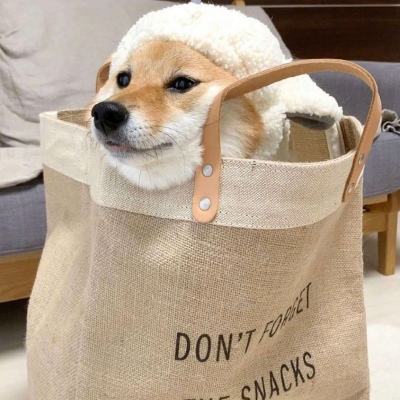 狗头头像柴犬 3