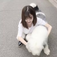 小图标头像小清新 2