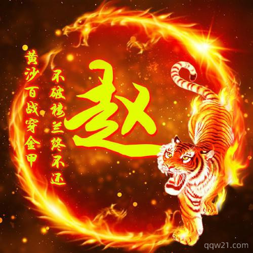 姓氏头像个人专用 5