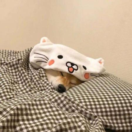 沙雕狗子的图片头像 4