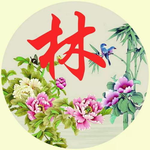 2023带来好运的微信头像姓氏 10