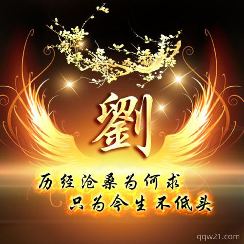 男生头像 姓氏 1
