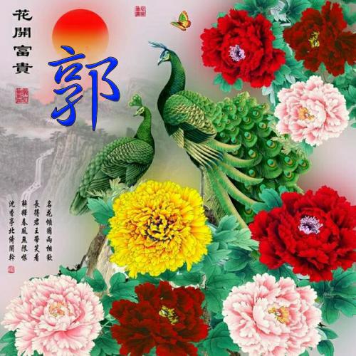 中国风姓氏头像 5