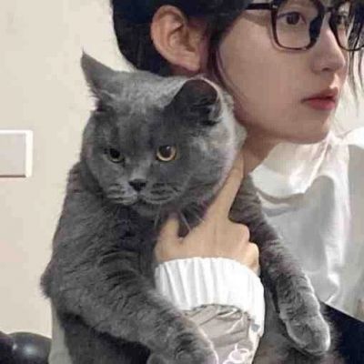 宠物情侣头像 2