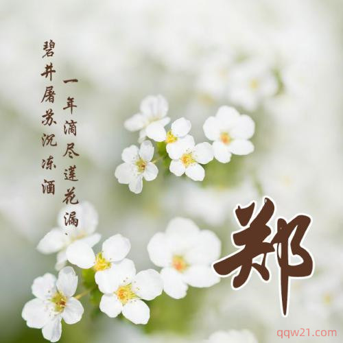 微信如何新建头像昵称 8