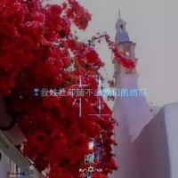 2023张姓氏头像带字图片微信 4