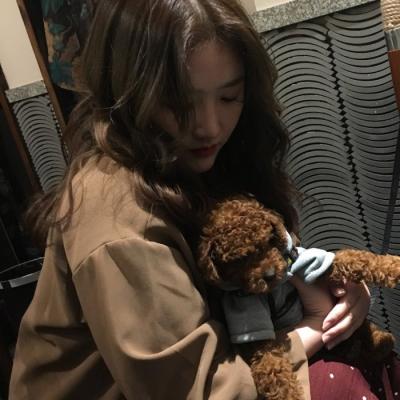 头像女带宠物 4