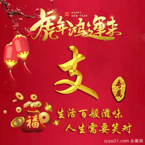 新年红色姓氏头像图片 2